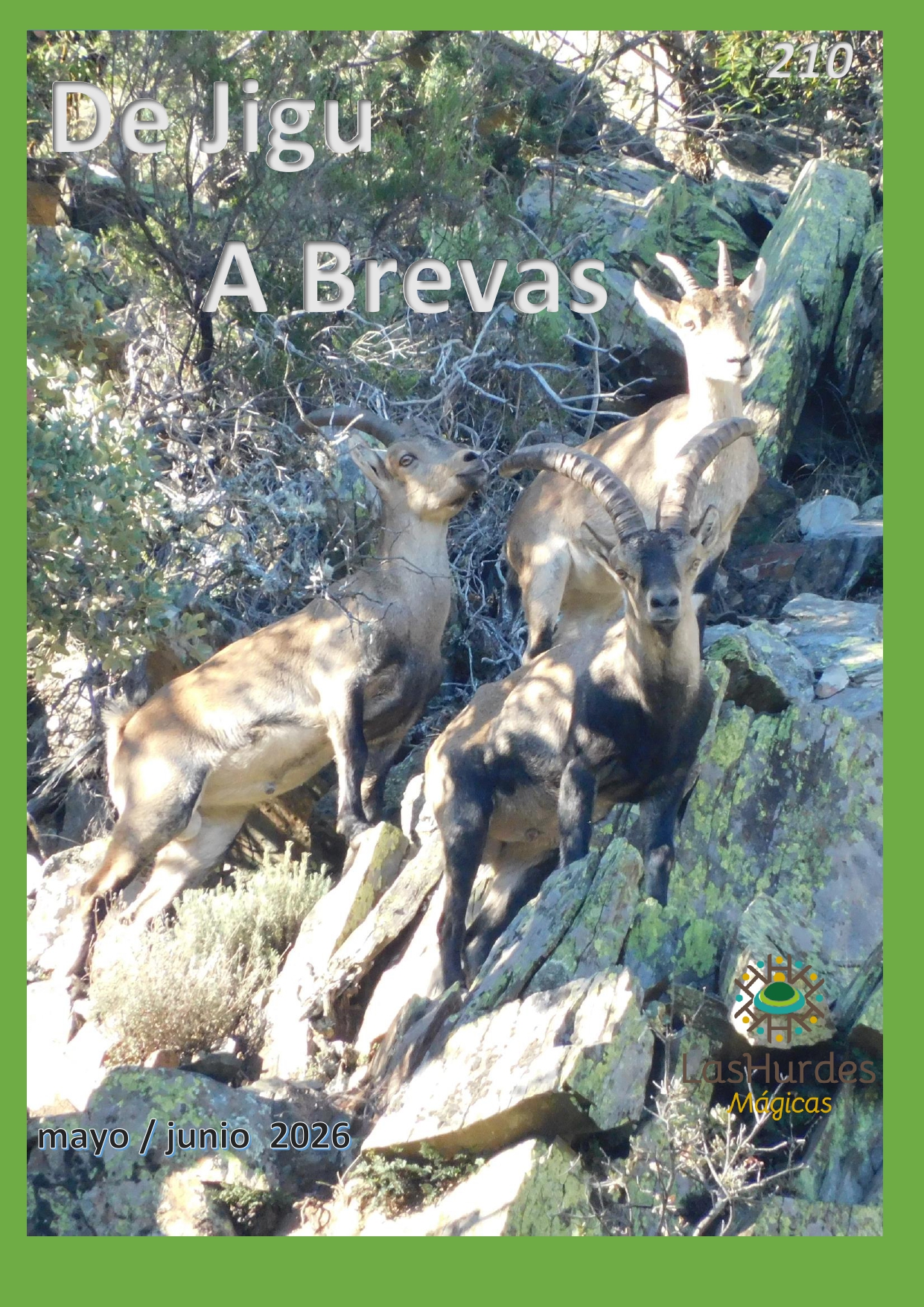 bienvenidos