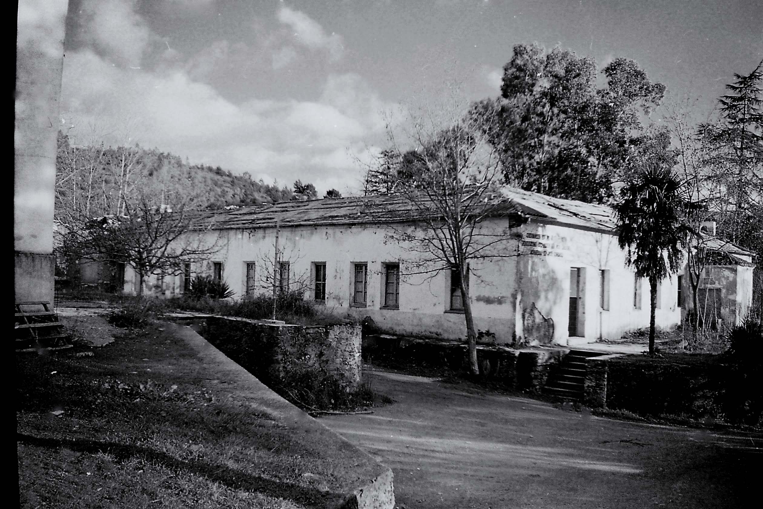 Alfonso XIII (Las Mestas)